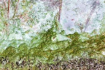 N 148A
